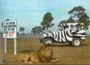 lion zoo western sydney helicopter landing